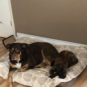 Meet your Posher, Shane